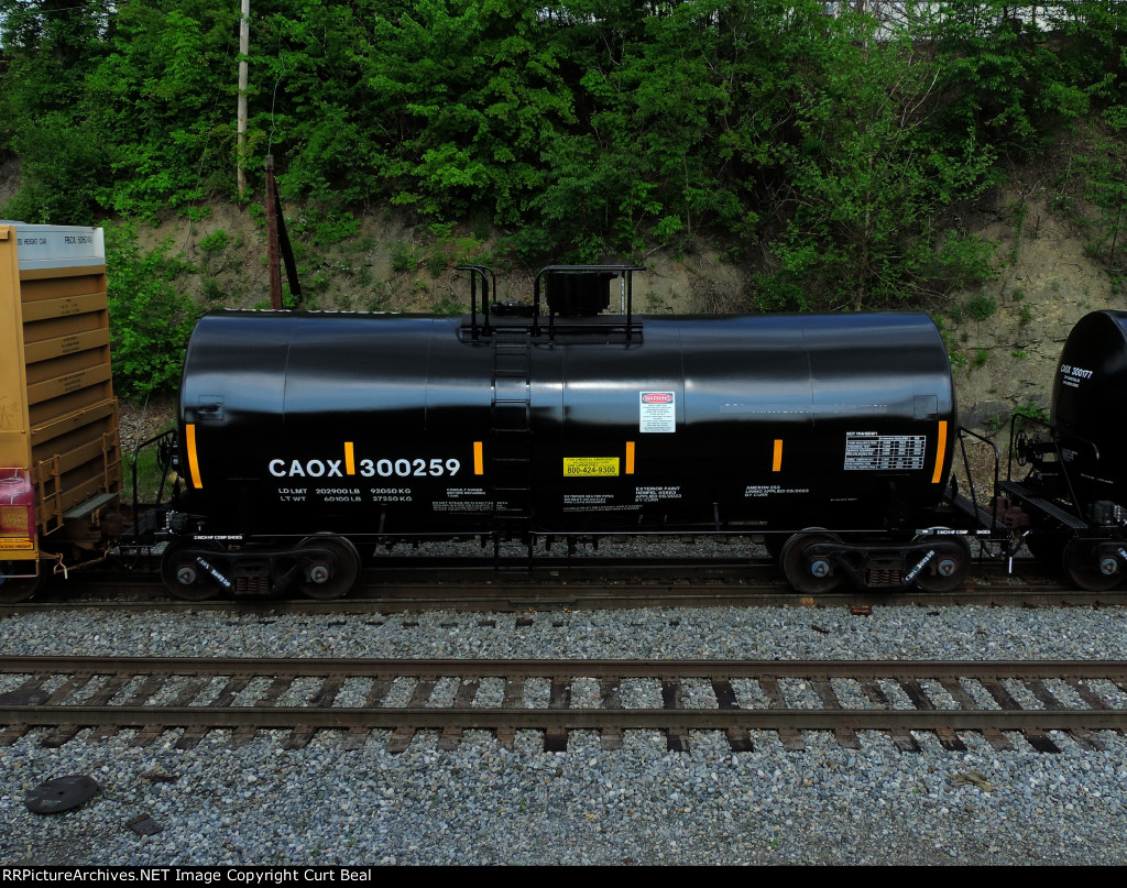 CAOX 300259